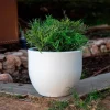 Azalea vaso in polietilene bianco Ø50xh41 cm