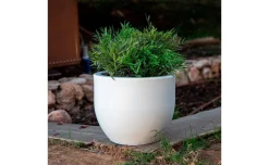 Azalea vaso in polietilene bianco Ø50xh41 cm