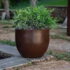 Azalea vaso in polietilene bronzo Ø40xh33 cm
