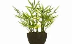 Bamboo pianta artificiale in vaso h35 cm