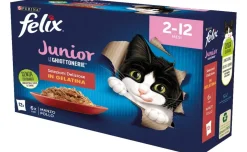 Bocconcini ghiottonerie 12x85 gr