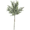 Bouquet di Eucalipto h64 cm