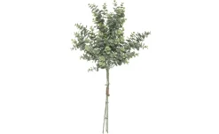 Bouquet di Eucalipto h64 cm