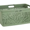 Contenitore jungle 47 litri