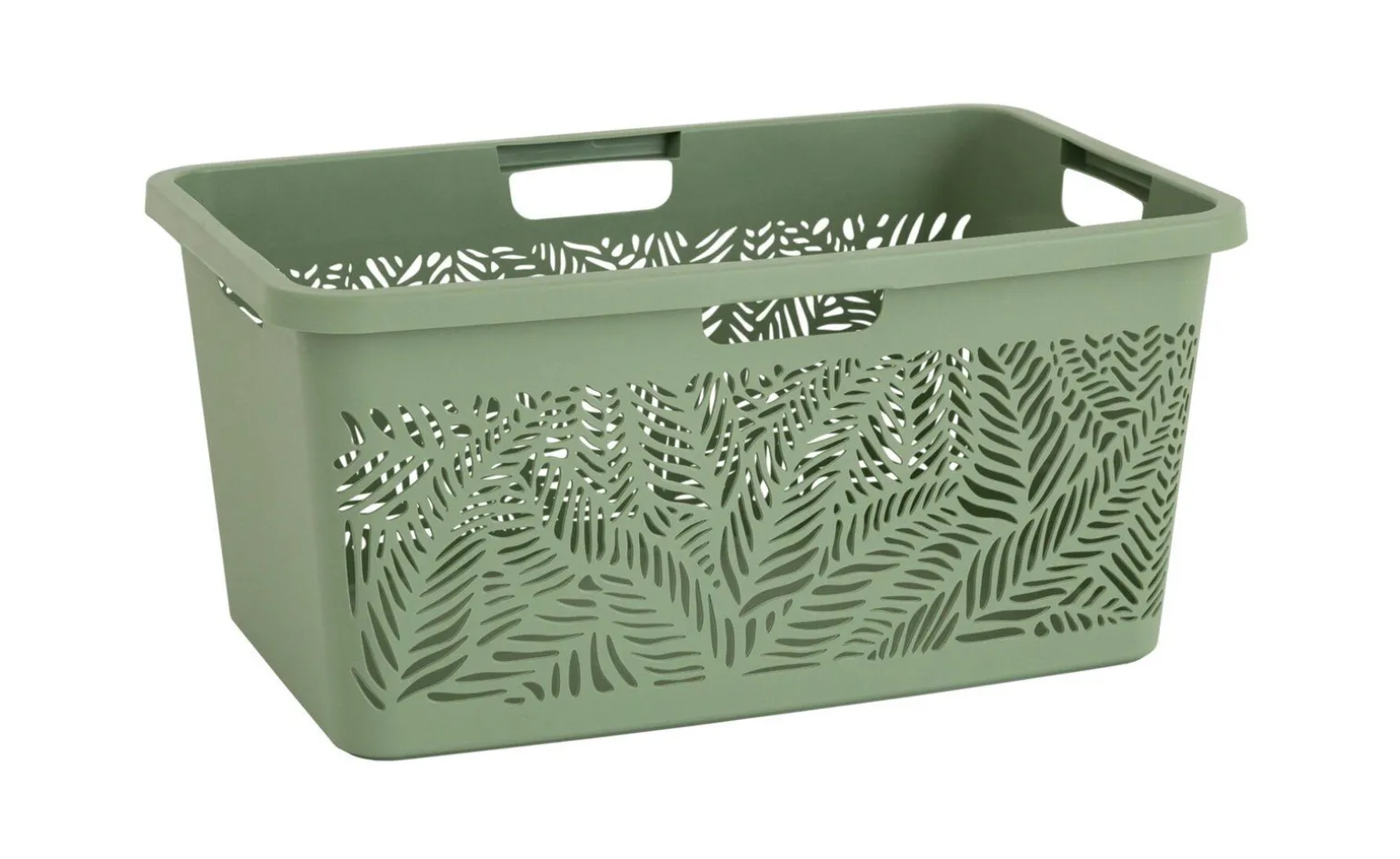 Contenitore jungle 47 litri