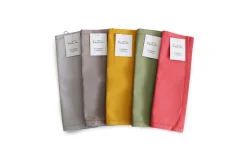 Coppia tovaglietta colazione colori assortiti