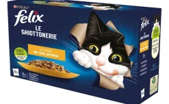 Felix le Ghiottonerie le varietà 12x85gr