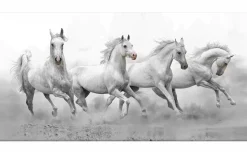 Horses canvas animali artistico 122x52 cm