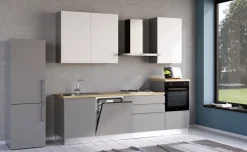 Iris cucina 270 cm colore grigio chiaro e bianco opaco con lavastoviglie