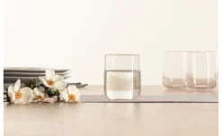 Naja bicchiere acqua in vetro trasparente 300 ml