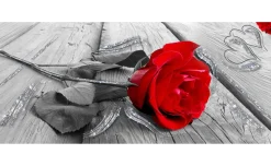Passione Brilliant canvas glitter 122x52 cm