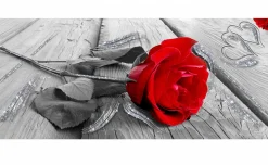 Passione Brilliant canvas glitter 122x52 cm
