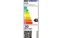 Proiettore LED da esterno 30 W 4000K
