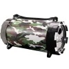 Speaker wireless BT camouflage