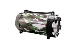 Speaker wireless BT camouflage