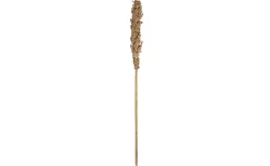 Tiges fiori secchi h78 cm