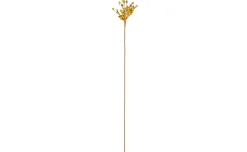 Tiges fiori secchi h78 cm