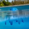 Trattamento piscina 4 in 1 Poolp'o per 10 m³