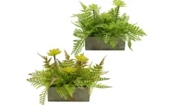 Vaso roccia letizie con felce 30x50 cm